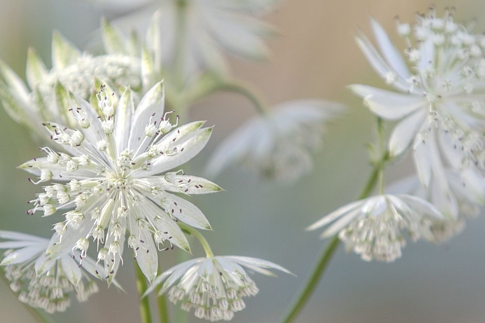 Photograph by Катерина Давыдова