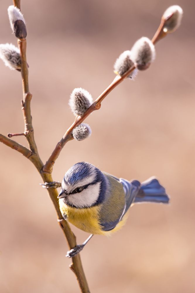 Photograph by Бурикова Екатерина