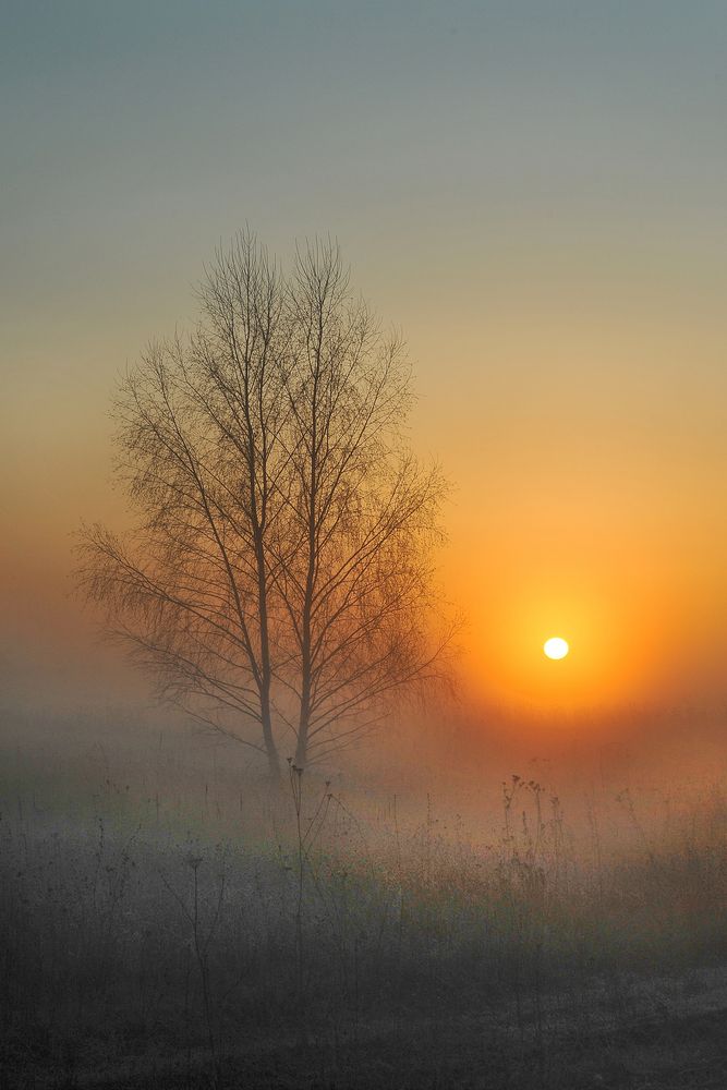 Photograph by Cергей Абакумов