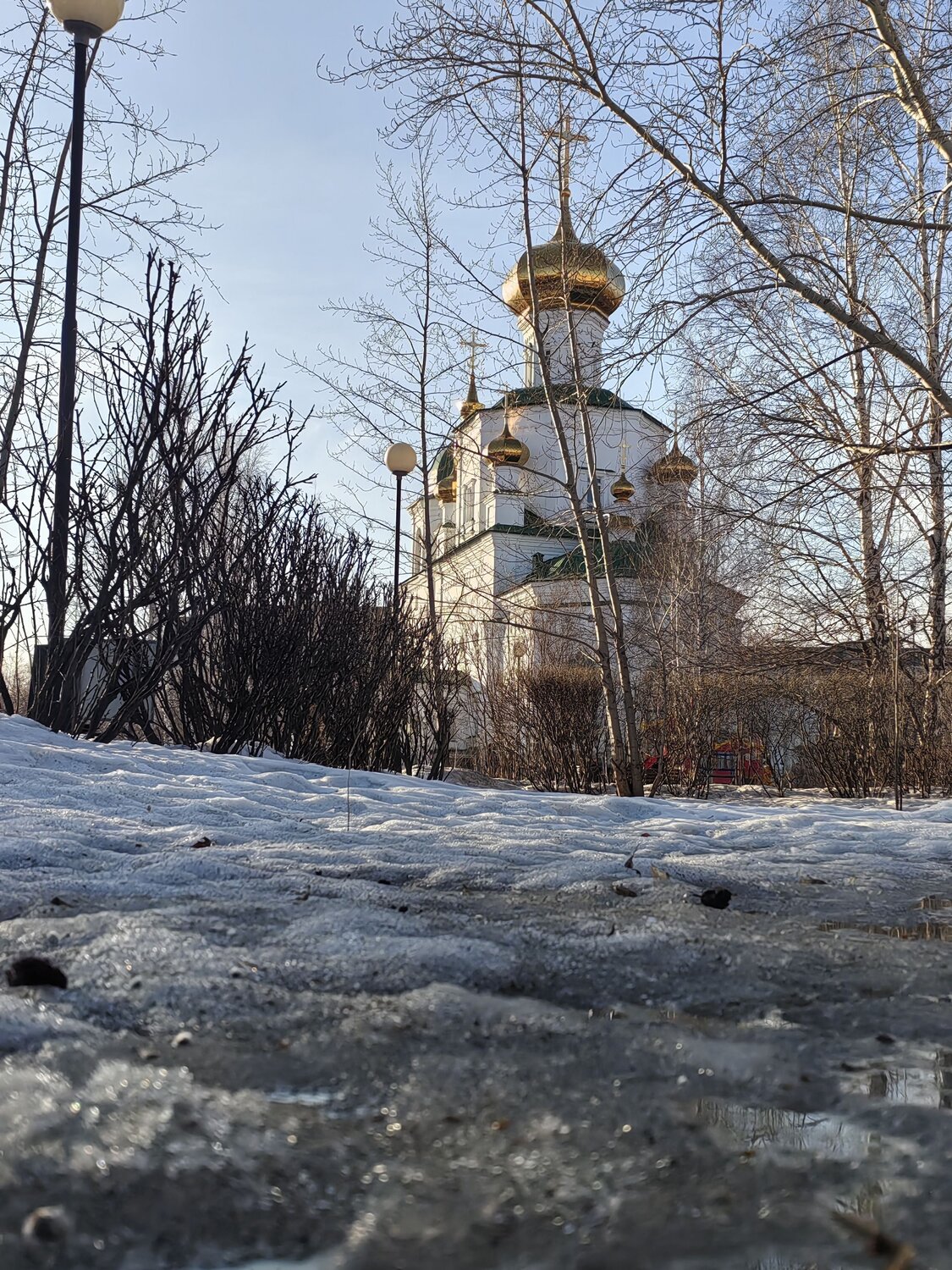 Photo #12116870