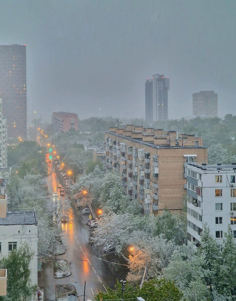 Фотография автора Мария Яковлева