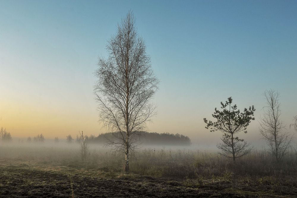 Photograph by Cергей Абакумов