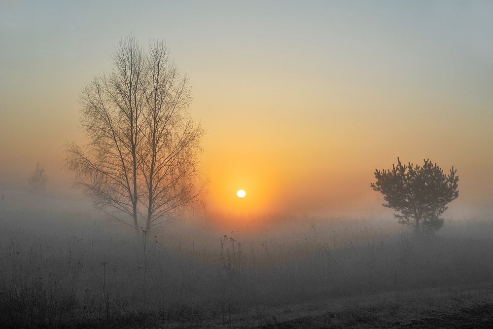 Photograph by Cергей Абакумов
