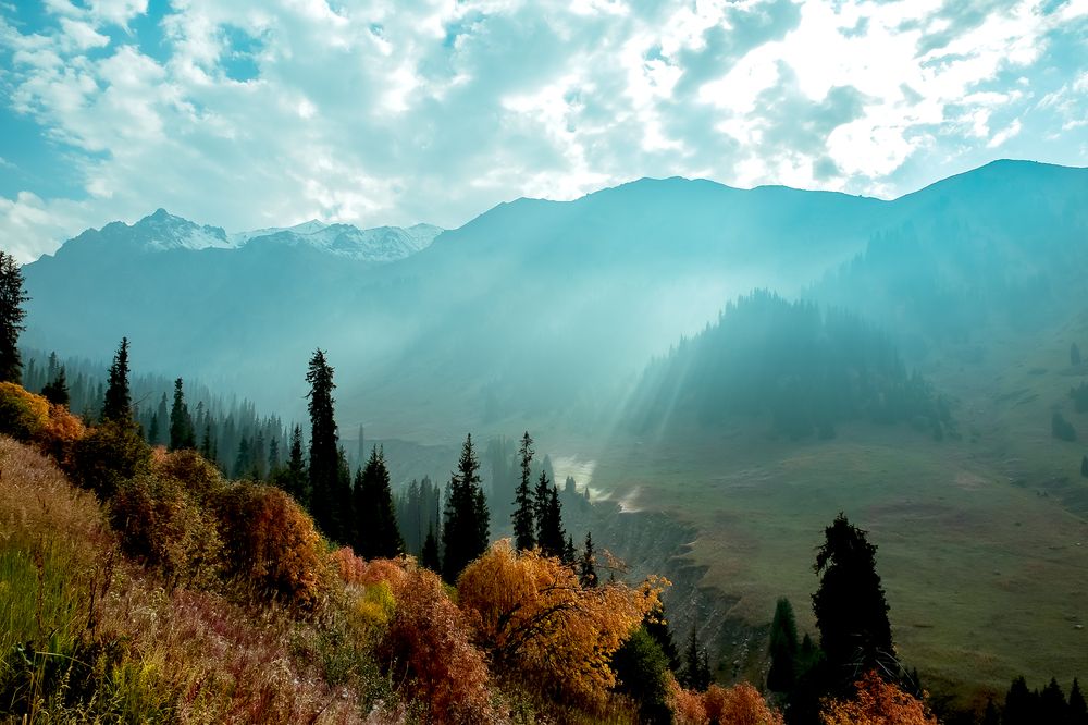 Photograph by Алексей Баженов