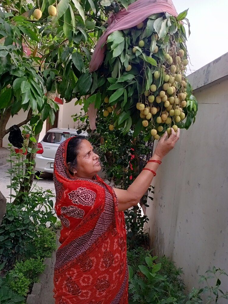 Photograph by Virendra Yadav