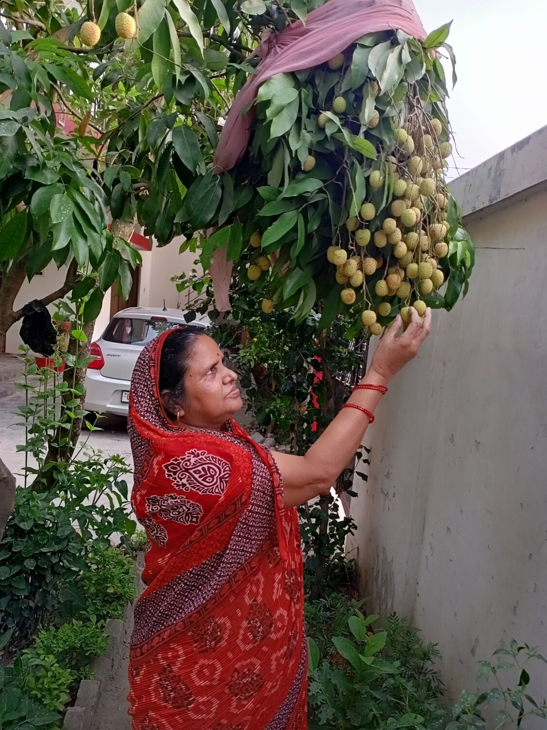Photo #12117114