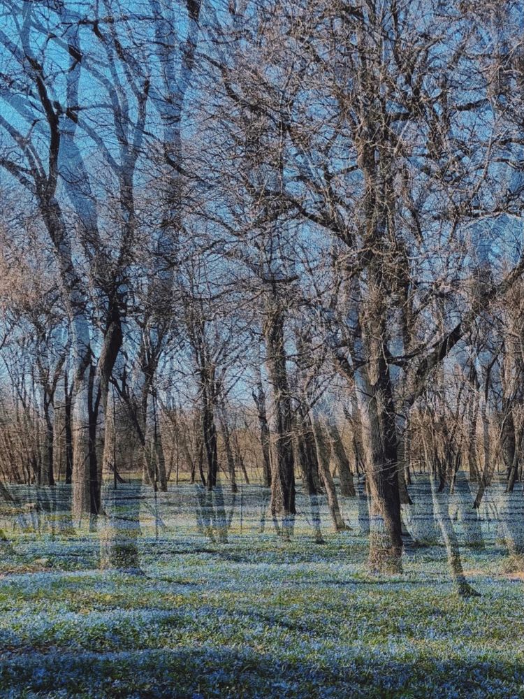 Photograph by Екатерина Кузнецова