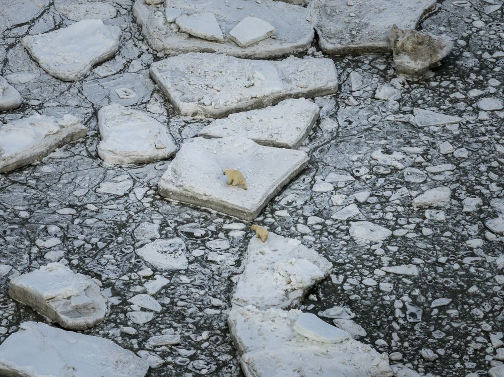 Photograph by Дмитрий Рындин