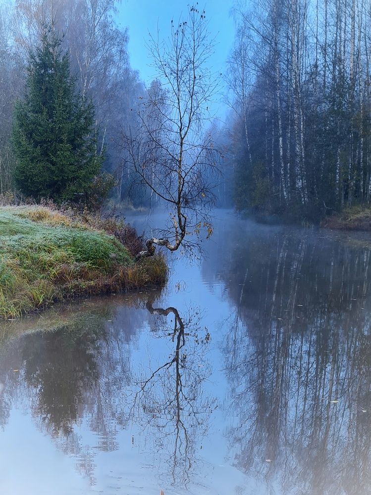 Photograph by Инна Мухина