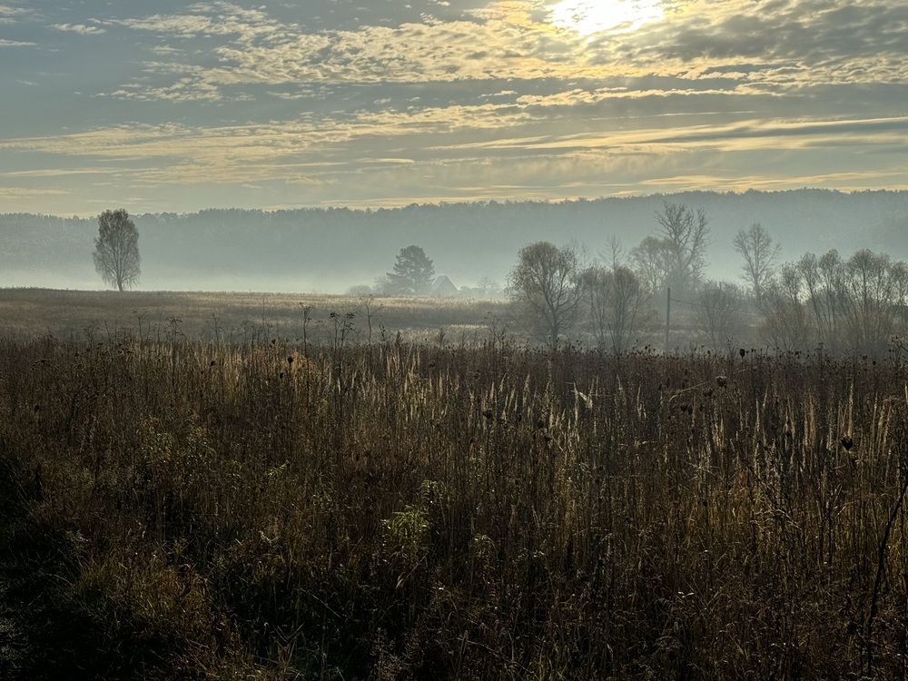 Photograph by Марина Сальникова