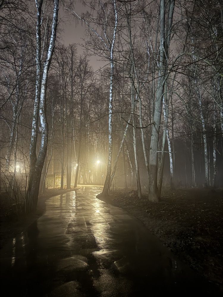 Photograph by Марина Сальникова