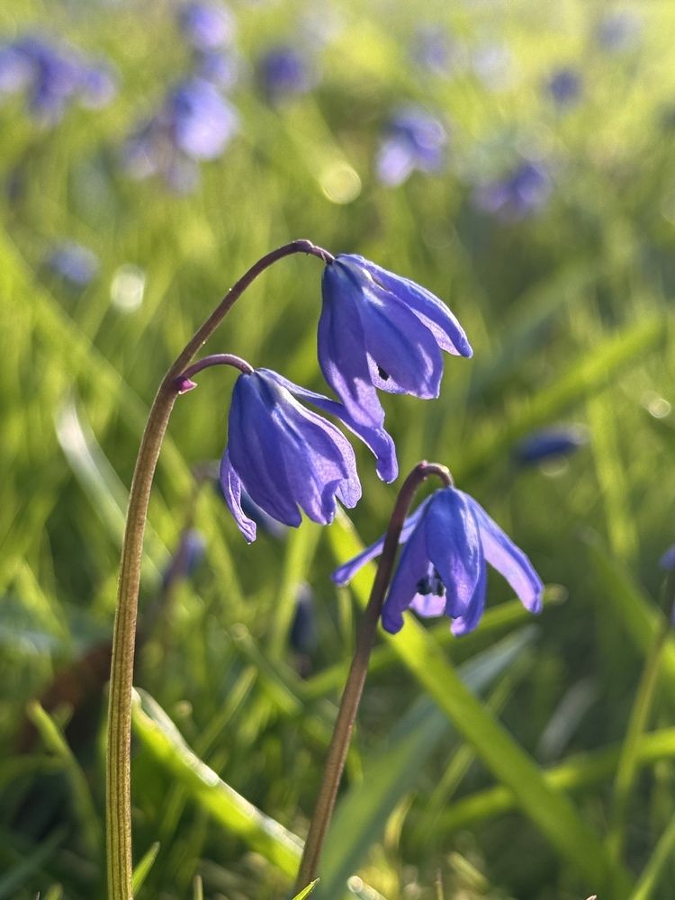 Photograph by Александра