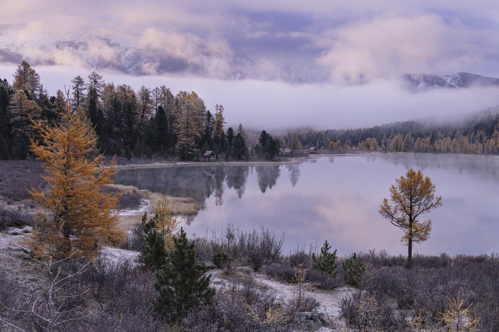 Фотография автора Галина Дейнекина