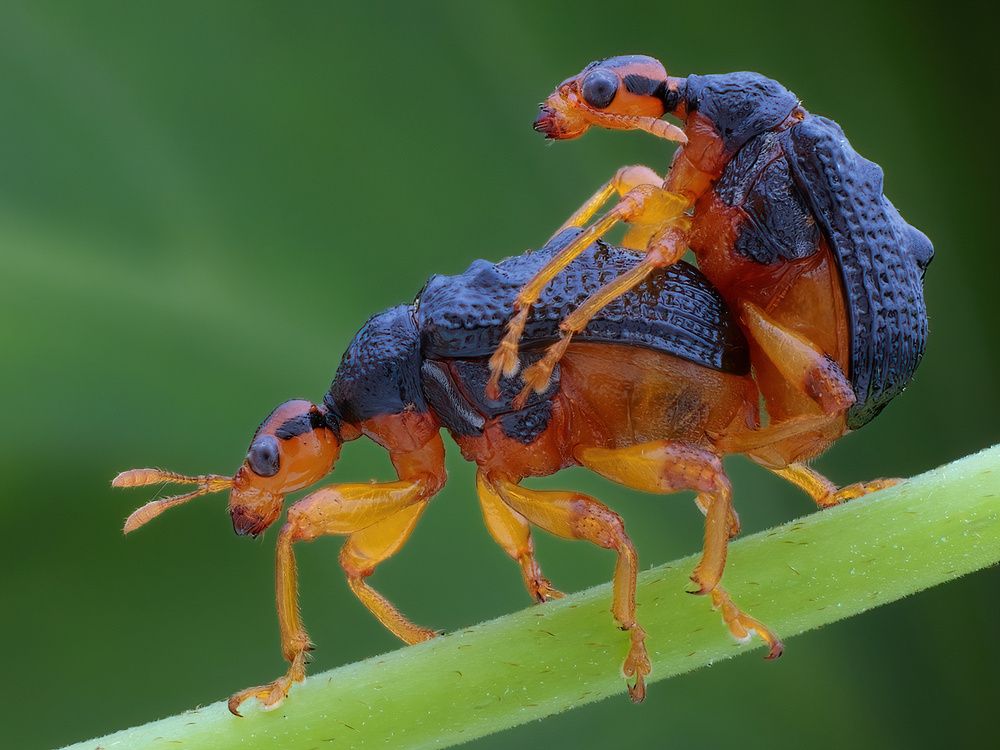 Photograph by Li Chen-You