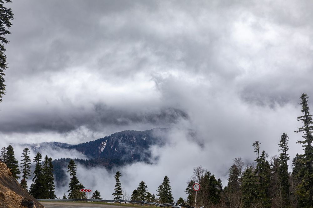Фотография автора Борунов Константин