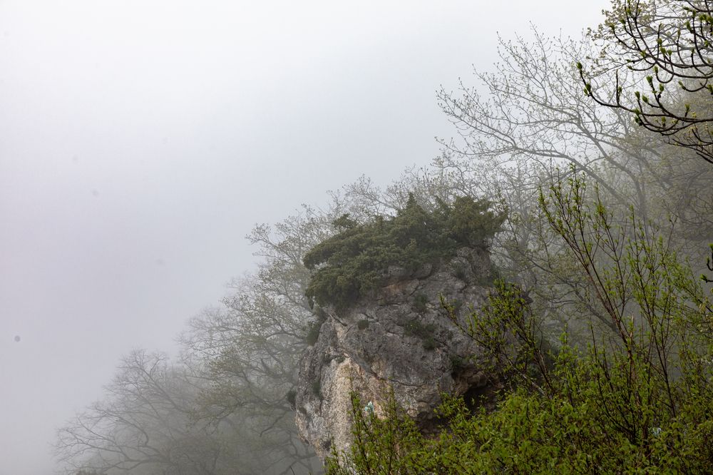 Фотография автора Борунов Константин