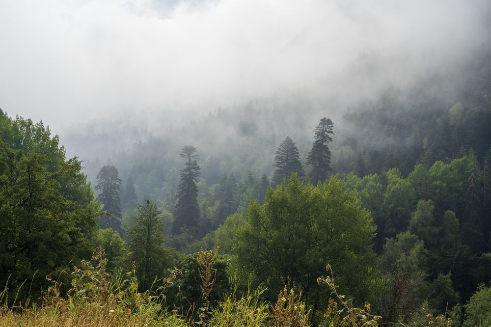 Фотография автора Борунов Константин