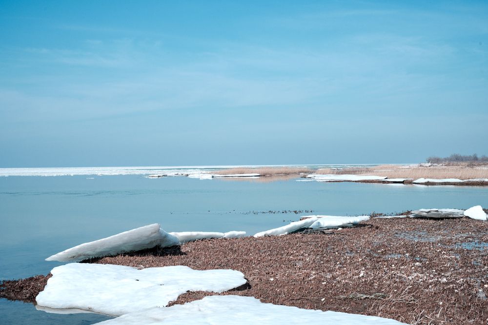Фотография автора Борунов Константин