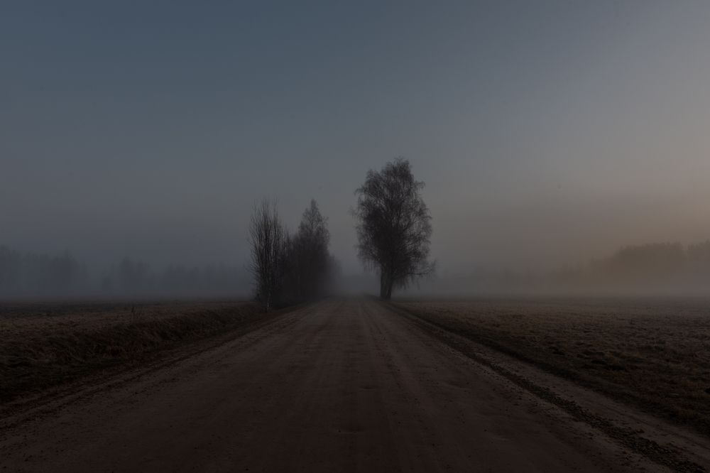 Фотография автора Aлексей Игнатьев