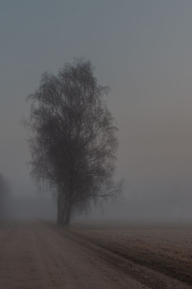 Фотография автора Aлексей Игнатьев