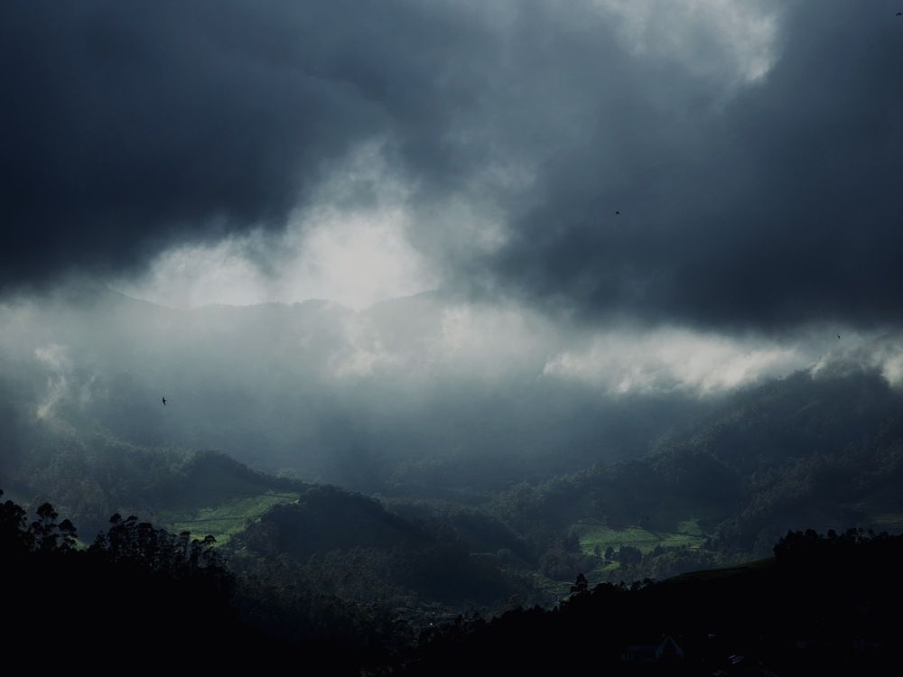 Mountains touched by light and life