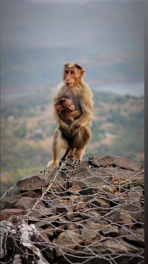 Mother and child