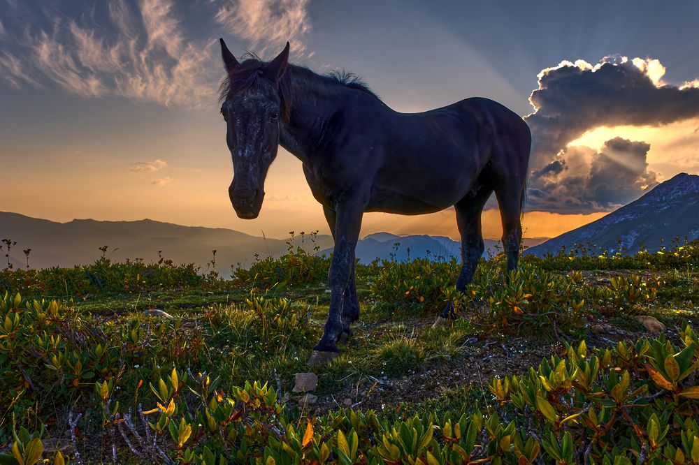 Photograph by Татьяна Полянская