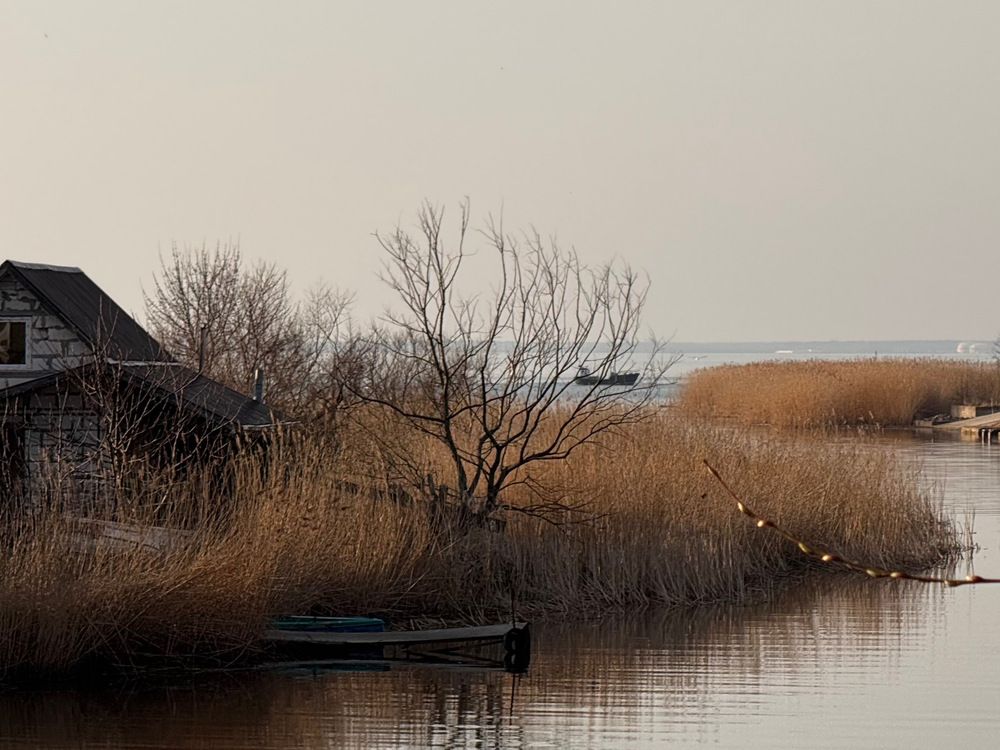 Photograph by Жанна Колесникова