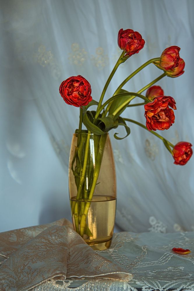 Фотография автора Елена Разина