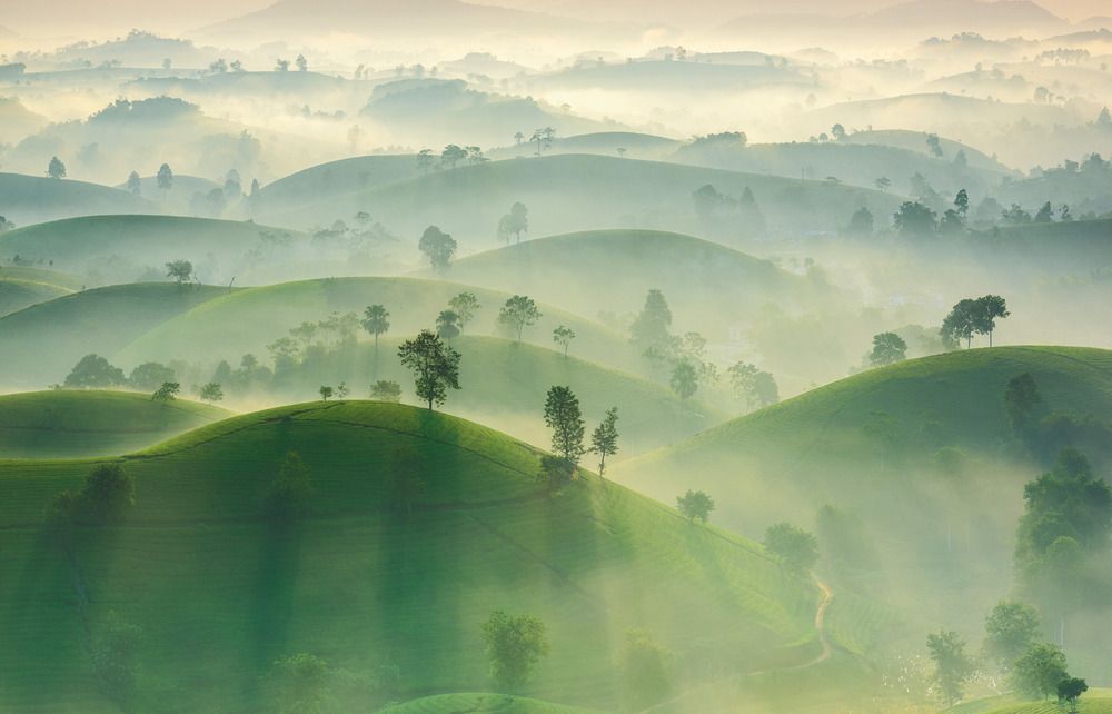 Photograph by Linh Trần