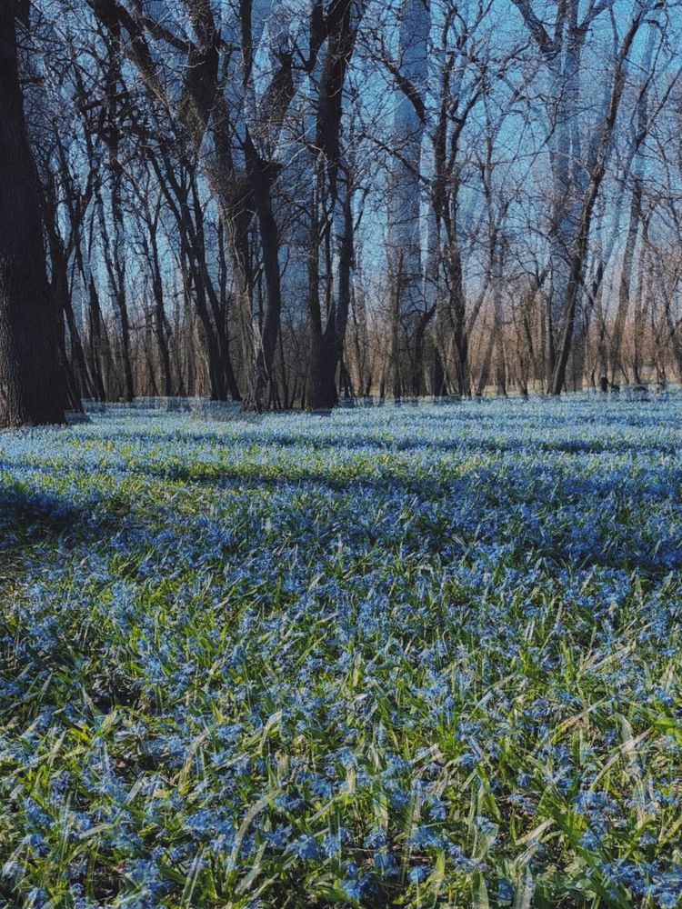 Photograph by Екатерина Кузнецова