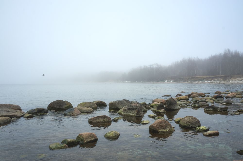 Фотография автора Покровский Антон