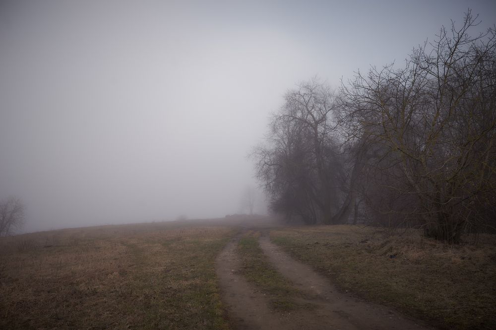 Фотография автора Покровский Антон