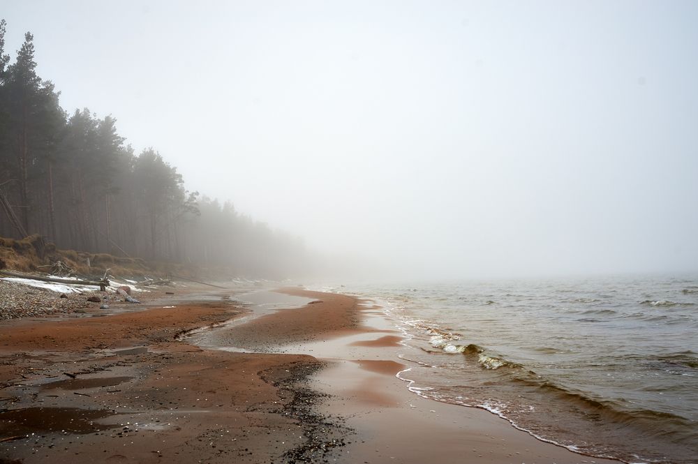 Фотография автора Покровский Антон