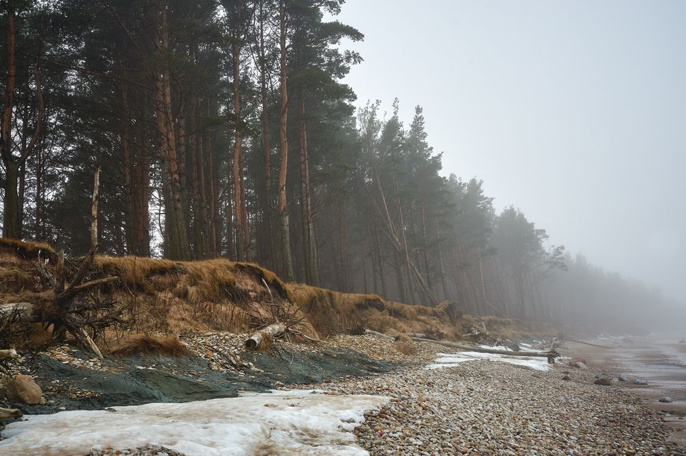 Фотография автора Покровский Антон