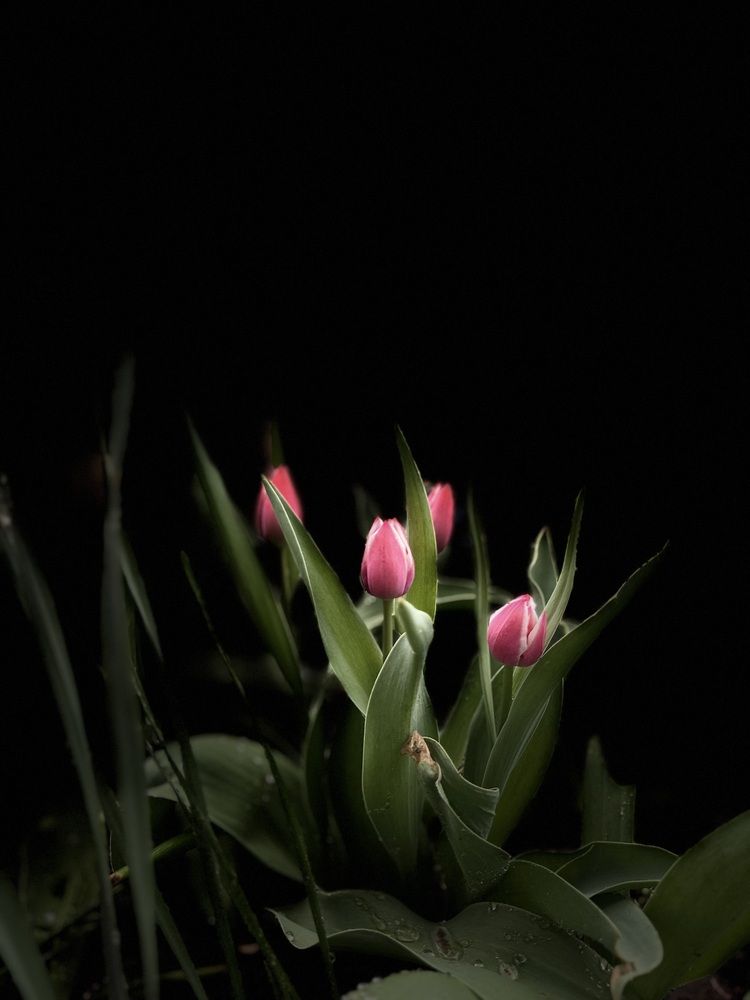 Photograph by Бойкова Наталия