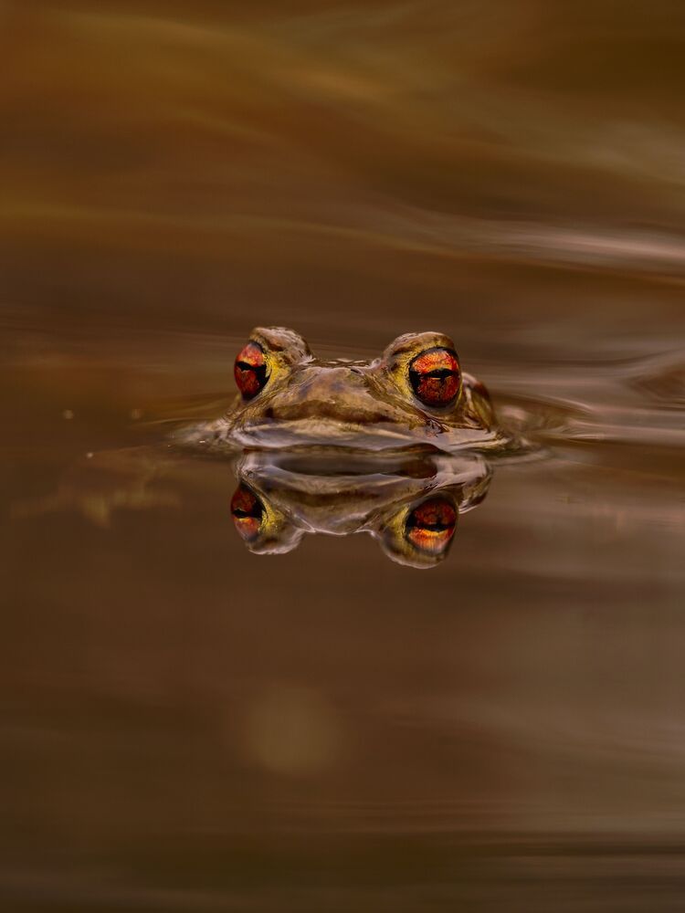 Фотография автора Jaroslav Hanzalík