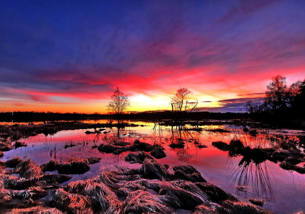 Photograph by Александр Лазебник