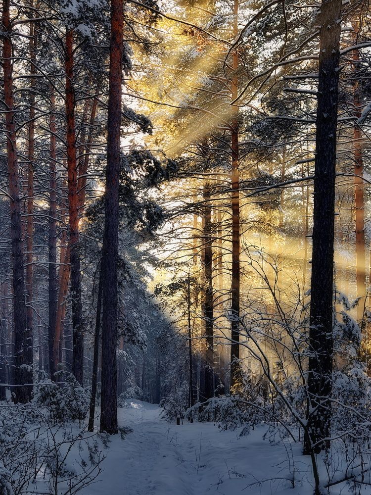 Photograph by Кузнецов Дмитрий