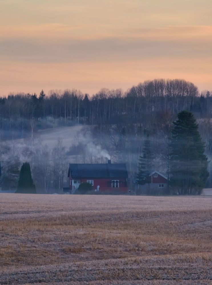 Фотография автора Alina Filimonova