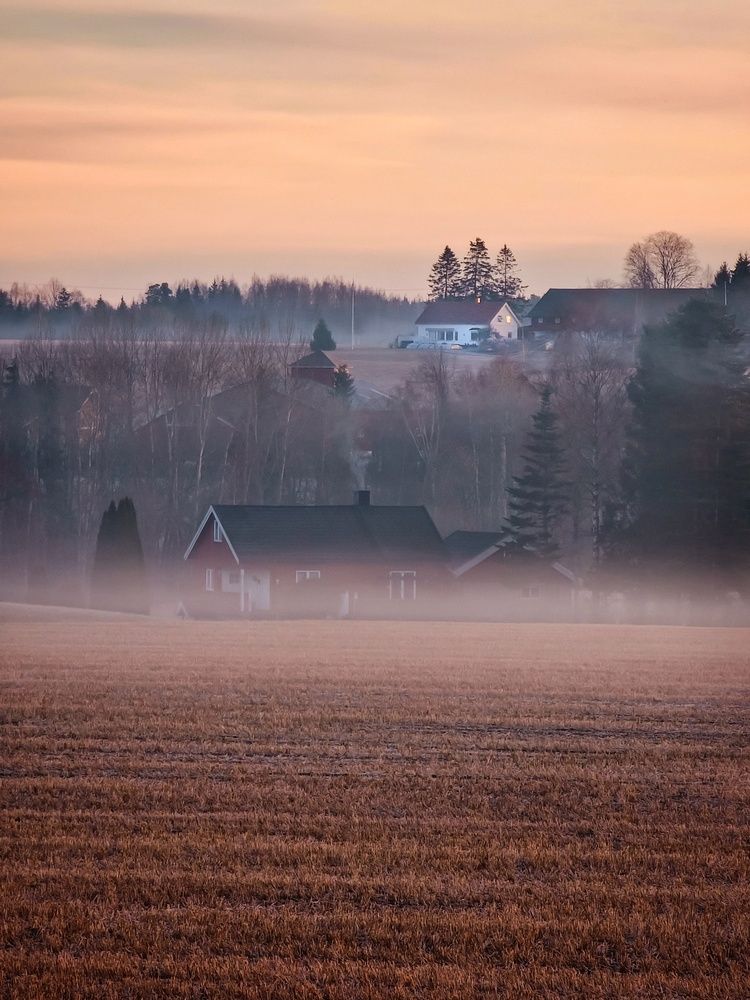 Фотография автора Alina Filimonova