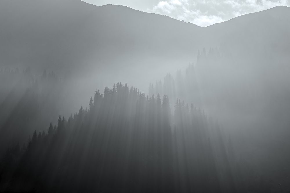 Photograph by Алексей Баженов