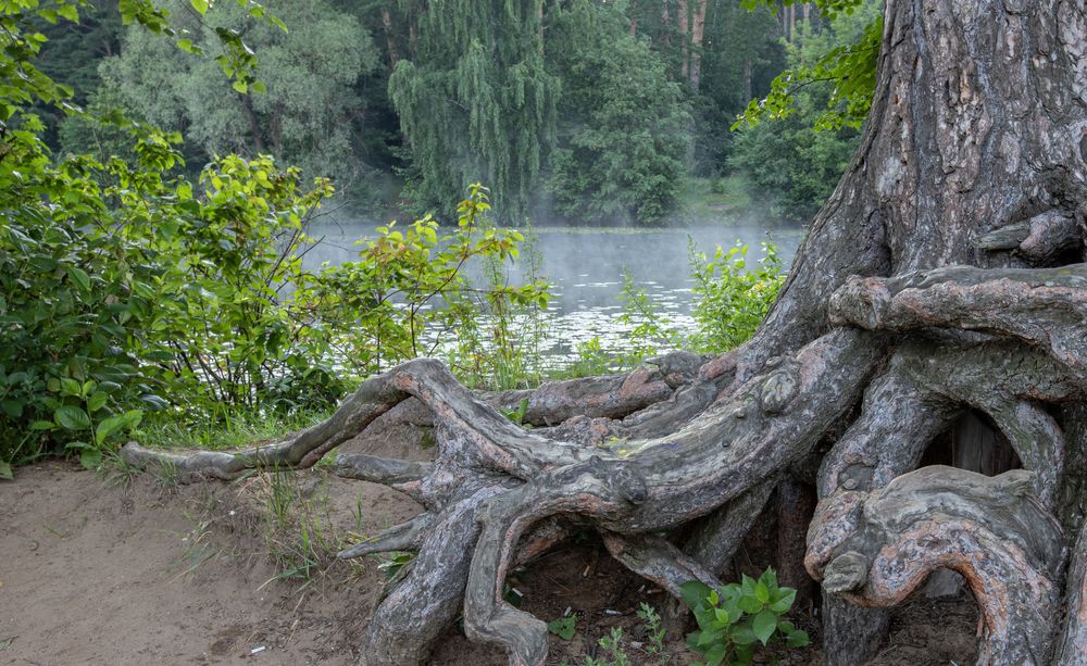 Photograph by Артём Быхалов