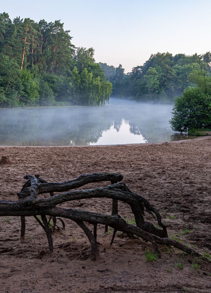 Photograph by Артём Быхалов