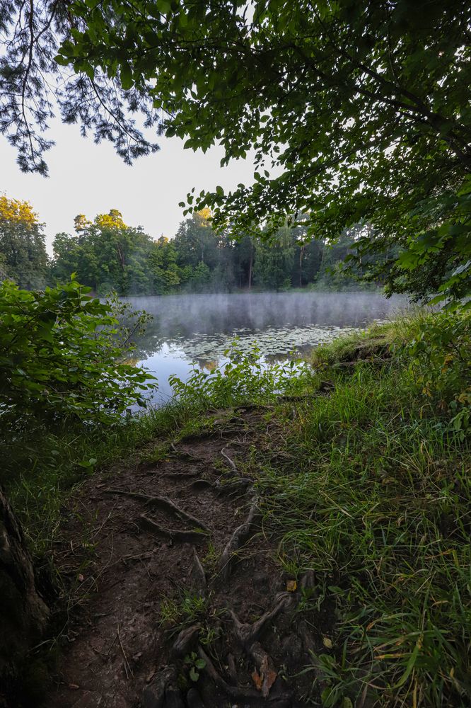 Photograph by Артём Быхалов