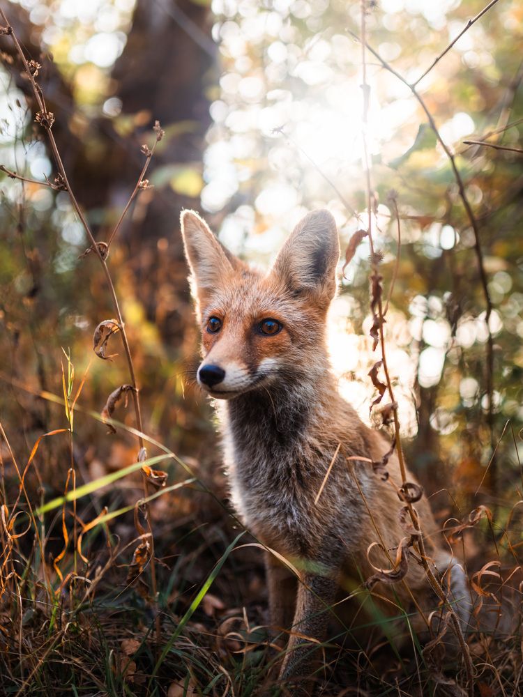 Photograph by Дмитрий Рындин