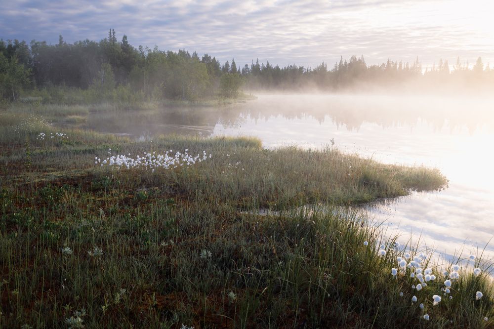 Photograph by Мария Казакова