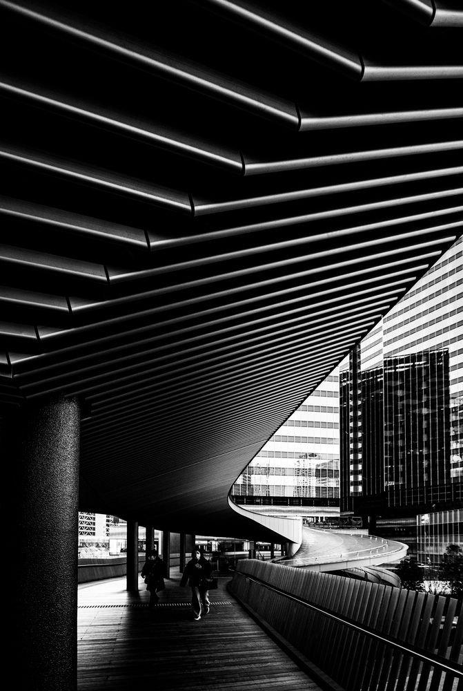 Photograph by Mutsuaki