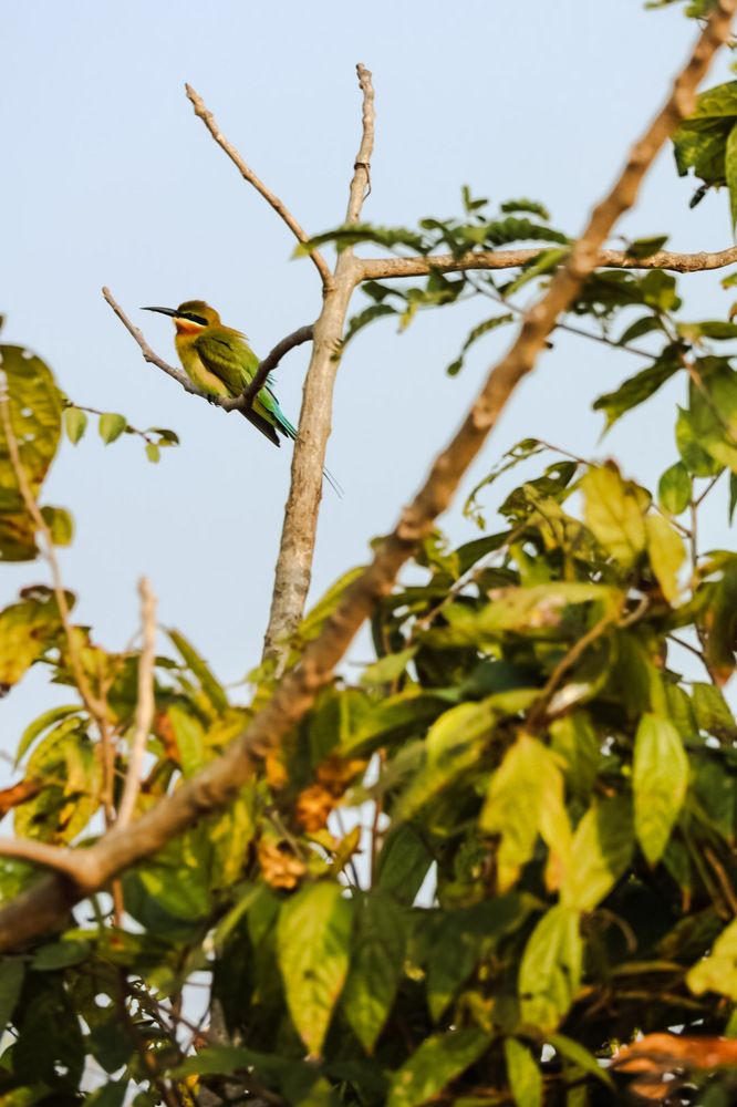 Photograph by Jowin Fernandes