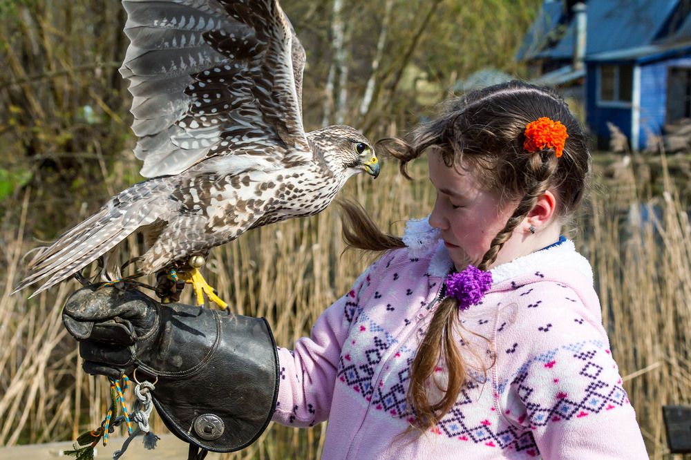 Фотография автора Totoro